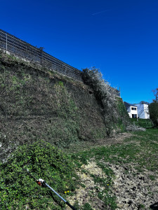 Photo de galerie - Taille arbuste/ronces talus 