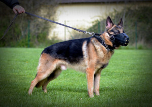 Photo de galerie - Education