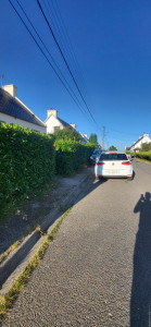 Photo de galerie - Taille de haies et d'arbustes