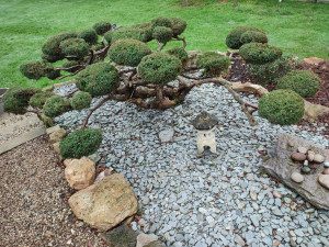 Photo de galerie - Taille d'arbuste , topiaire