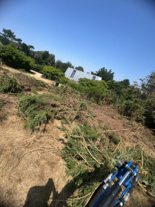 Photo de galerie - Location mini pelle 600 kilo avec chauffeur plantation d’arbre petit defrichage tout type de travaux avec mini pelle adapter 