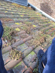 Photo de galerie - Entretien toiture + demoussage 