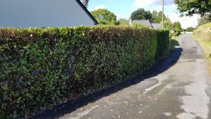 Photo de galerie - Voici une photo de réalisation proposée pour un Voisin