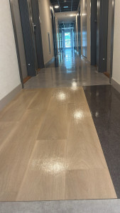 Photo de galerie - Nettoyage de sol . Bureaux 