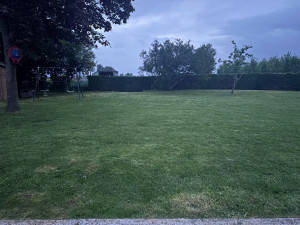 Photo de galerie - Tonte de pelouse 