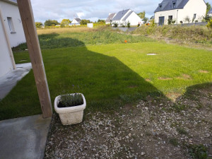 Photo de galerie - Semis de gazon 