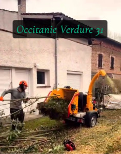 Photo de galerie - Petite élagage avec broyeur 