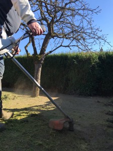 Photo de galerie - Paysagiste - Aménagement du jardin