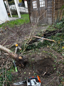 Photo de galerie - Déssouchage 