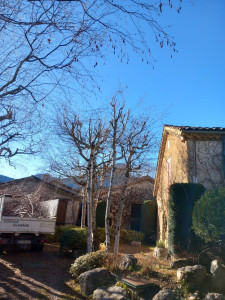 Photo de galerie - Debroussaillage et netoyage de chantier 