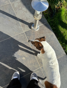 Photo de galerie - Garde d’animaux 