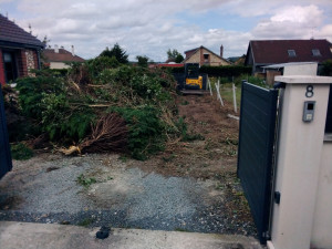 Photo de galerie - Arrachage d’une haie de 20 mètres de long évacuation benne de 40 m3