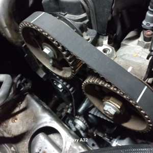 Photo de galerie - Courroie de distribution 