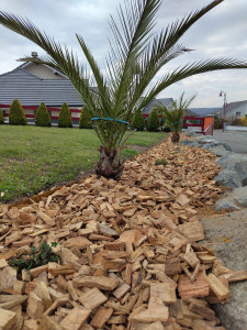 Photo de galerie - Création d 'une bordure en acier corten avec copeaux d'aulne.