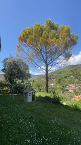 Photo de galerie - Après