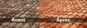 Photo de galerie - Couverture - Toiture