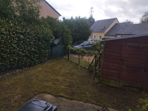 Photo de galerie - Tonte, taille glycine et haie laurier ! 