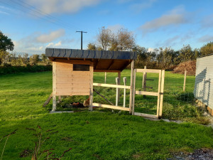 Photo de galerie - Poulailler