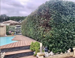 Photo de galerie - Jardinier