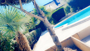 Photo de galerie - Taille