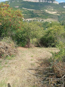 Photo de galerie - Tonte de pelouse - Débroussaillage