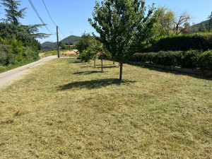 Photo de galerie - Après 