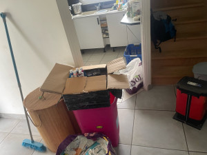 Photo de galerie - Tris et rangement de tou., en vous apportant bcp plus de place chez vous 