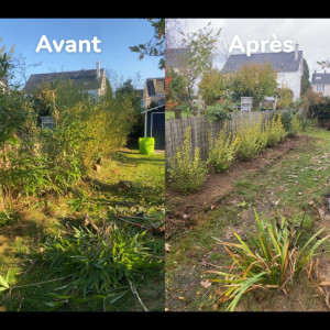 Photo de galerie - Dessouchage de l’ancienne haie est plantation d’une nouvelle haie 