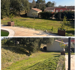 Photo de galerie - Tonte de pelouse - Débroussaillage