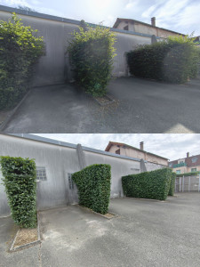 Photo de galerie - Taille haie 