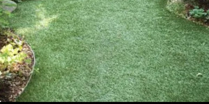 Photo de galerie - Désherbage, pelouse synthétique, nettoyage et entretien....