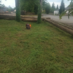 Photo de galerie - Tout netoyage de terrain 