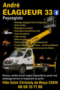 Photo de galerie - Abattage élagage d'arbre en tout genre 
