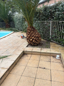 Photo de galerie - Taille