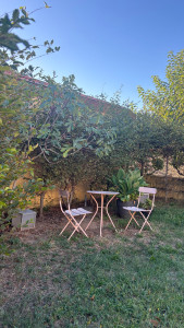 Photo de galerie - Elagage et coupe d'arbres