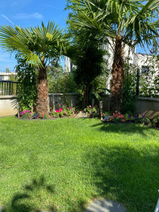 Photo de galerie - Aménagement, espace vert plantation palmier