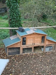 Photo de galerie - Bricolage et multi services