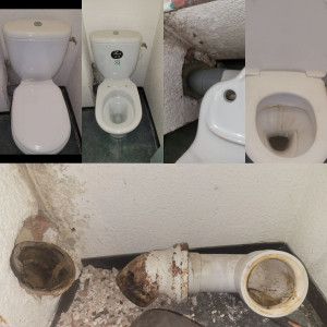 Photo de galerie - Remplacement W.C