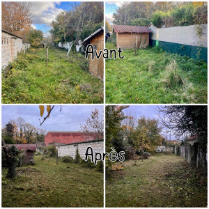 Photo de galerie - Remise en état terrain