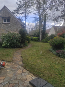Photo de galerie - Rafraîchissement jardin,(tonte, débroussaillage et taille d'arbustes)