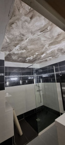 Photo de galerie - Plafond de la salle de bain avant la réalisation des travaux.