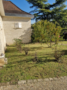 Photo de galerie - Tonte et taille rosier et plusieurs arbuste 