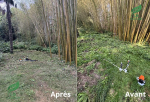 Photo de galerie - Tonte de pelouse - Débroussaillage