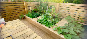 Photo de galerie - Paysagiste - Aménagement du jardin
