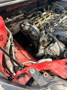 Photo de galerie - Distribution 