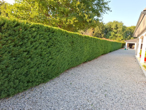 Photo de galerie - Tonte pelouse debroussaillage taille de haie entretiejardin