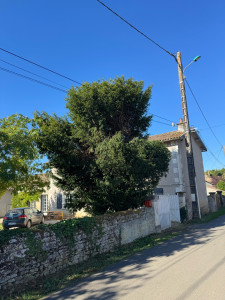 Photo de galerie - Dégagement de fils électriques, travaux effectués avec nacelle 