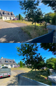 Photo de galerie - Nettoyage d’un terrain 