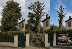 Photo de galerie - Intervention Dordogne 
Intervention meme quartier, voisinage, bouche à oreille 
Merci pour votre soutien ? ?
