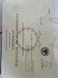 Photo de galerie - Diplôme cap ouvrage électrique 